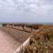 Da qui possiamo andare verso destra o verso sinistra. Scegliamo di continuare a camminare sulla terrazza spostandoci verso il braccio nord del lido e seguendo un corridoio costeggiato da un parapetto su cui sopravvivono delle piante grasse